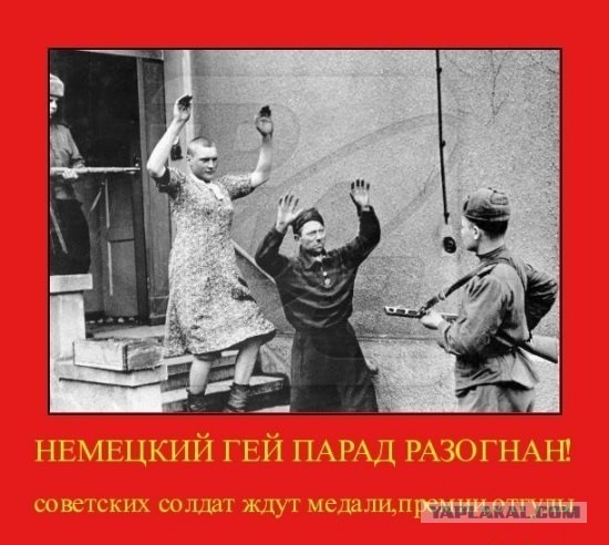 Европейские крестоносцы Гитлера под Ленинградом