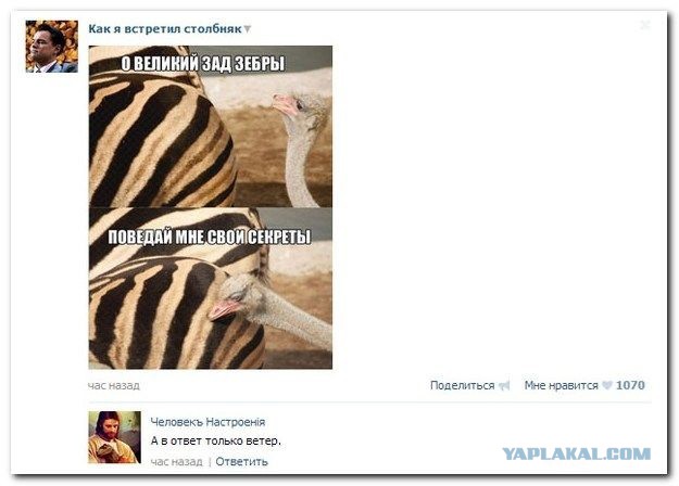Смешные комментарии из социальных сетей 18.03.2016