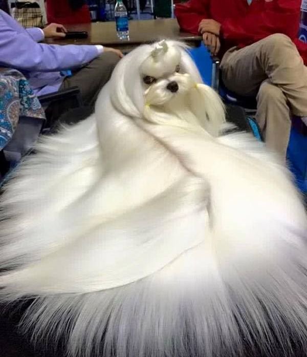 Подборка интересных и веселых картинок