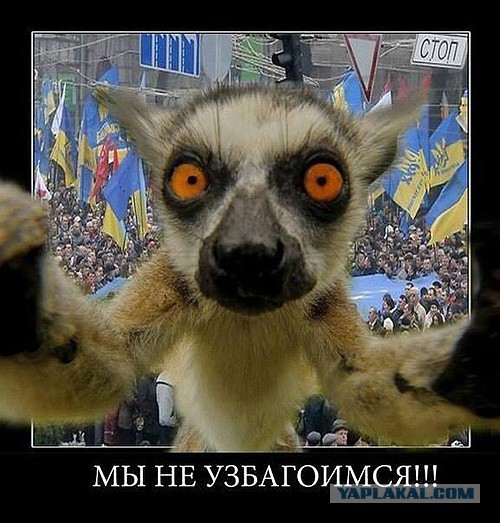 Возле парка Вечной Славы в Киеве произошла потасовка между полицией и националистами