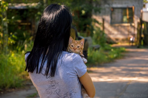 Подборка интересных и веселых картинок