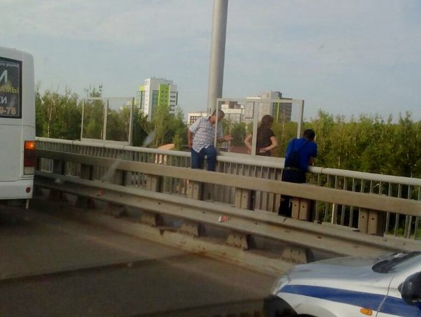 Водитель маршрутки спас девушку от самоубийства