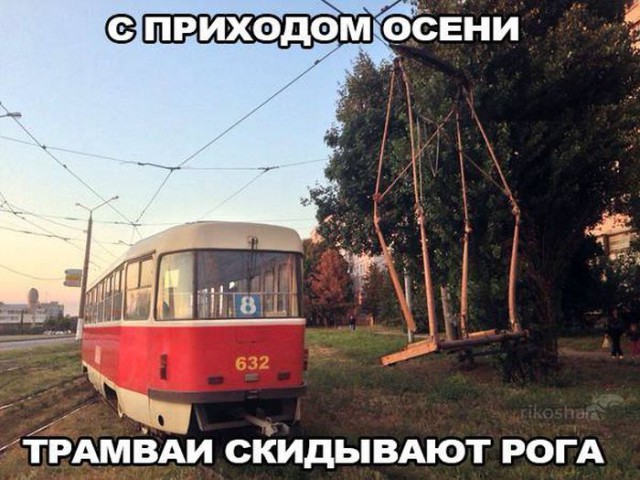 Поляна идиотизма, адового трэша и наркоты