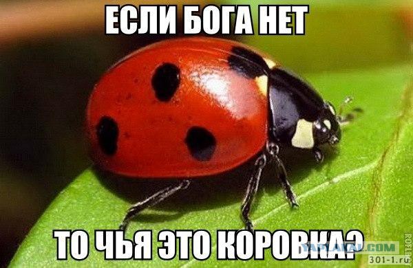 Ученый объясняет про религии и пользу от них