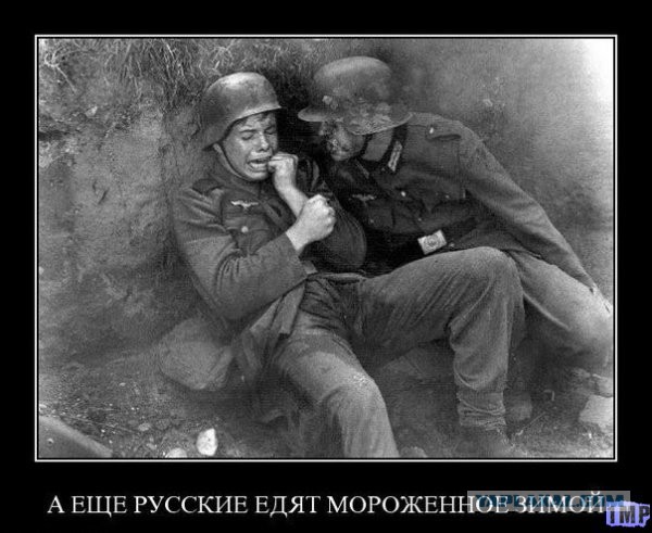 Фольксштурм - гитлеровское ополчение.