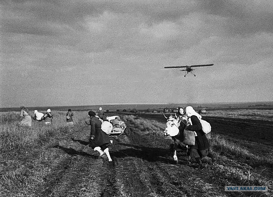 Фото Немецкого Фотографа