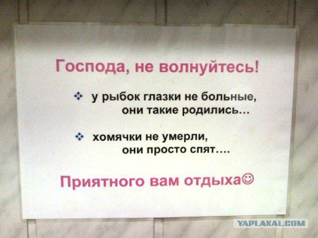 40 интересных фактов в картинках.