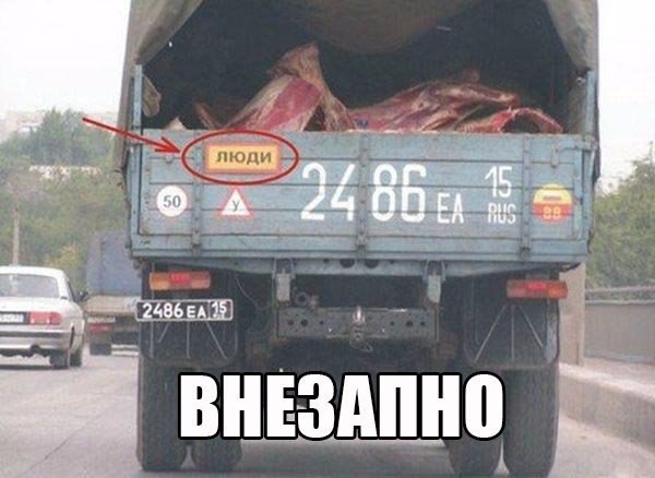 Подборка безудержного веселья