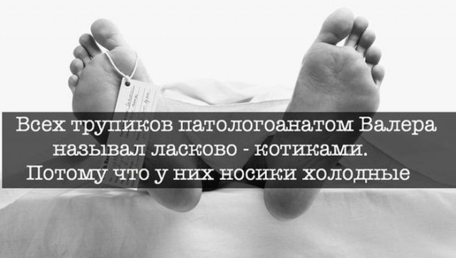 Слегка чёрный и циничный понедельник