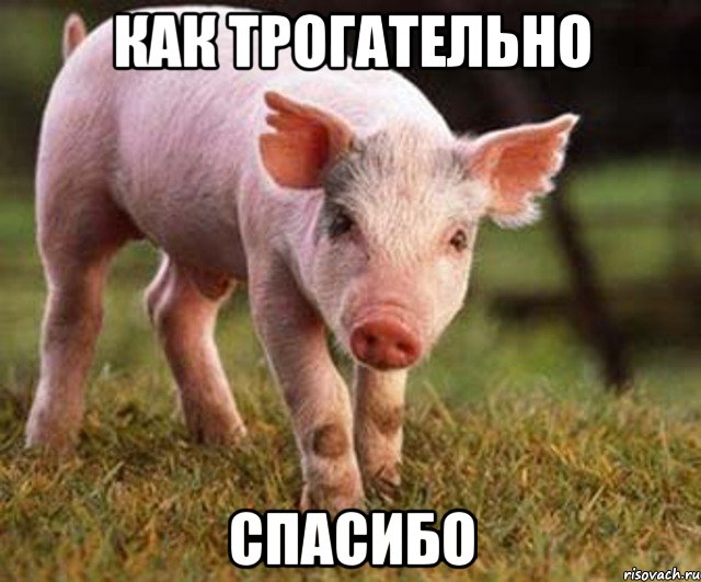 Футбол. Чемпионат России. Межсезонье