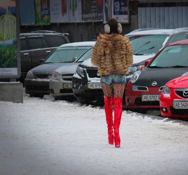 Забавные картинки