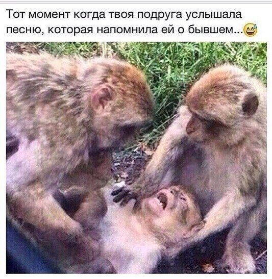 Допрыгались