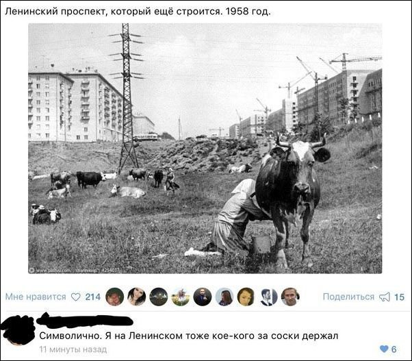 Центнер Идиотизма