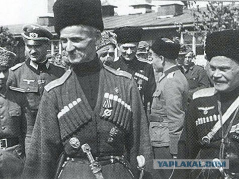 Петербургские казаки объявили о нападении на свой штаб