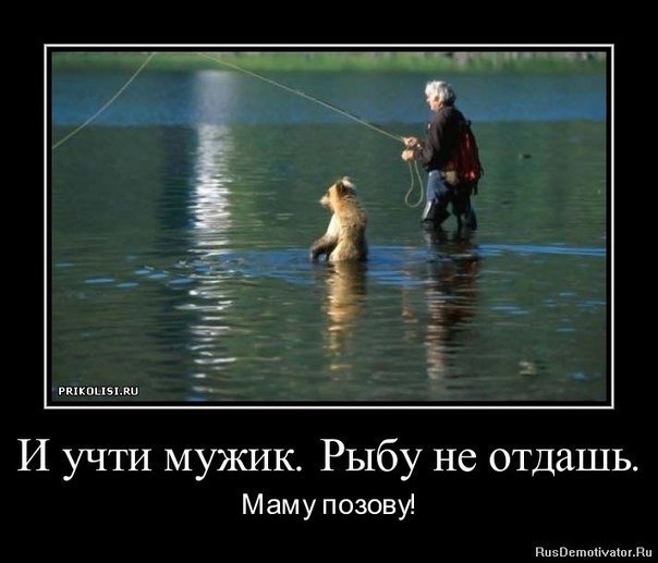 Немного картинок в этот четверг