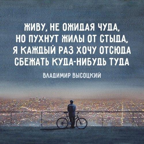 Немного интересных и добрых картинок