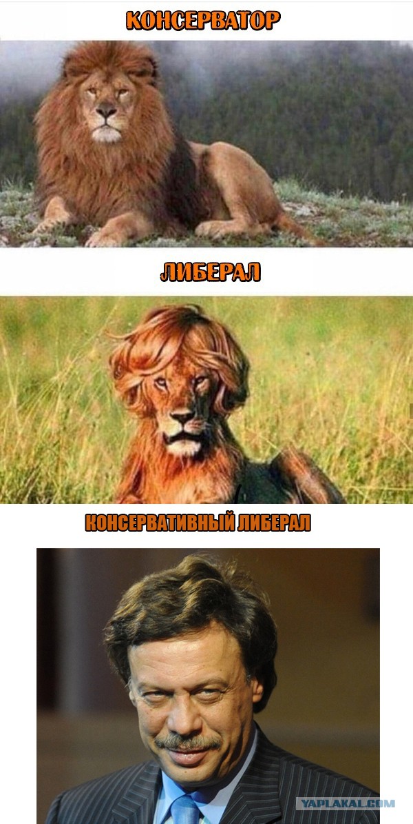 Так, граждане тунеядцы! Картинки, значит, смотрим