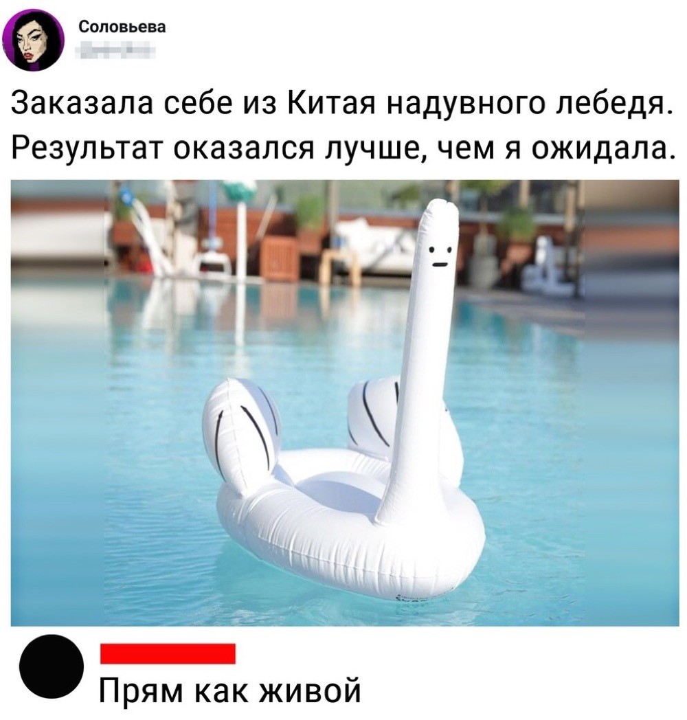 13371676.jpg