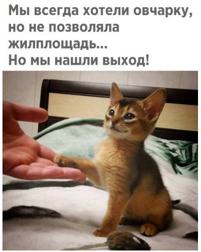 Чуток картинок! 26.12.19
