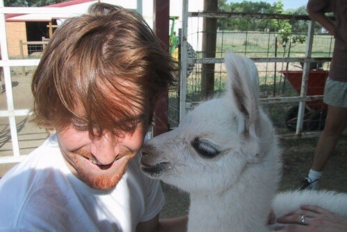 Музей скинов для проигрывателя Winamp собрал 65000 скинов