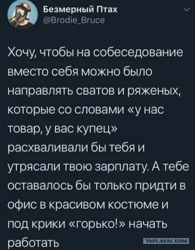 Юмор в картинках 30.09 20