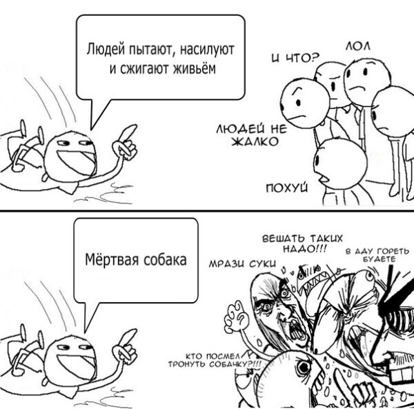 "Вези меня, мразь"! В этот раз не прокатило
