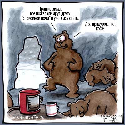 Медвежий уголок