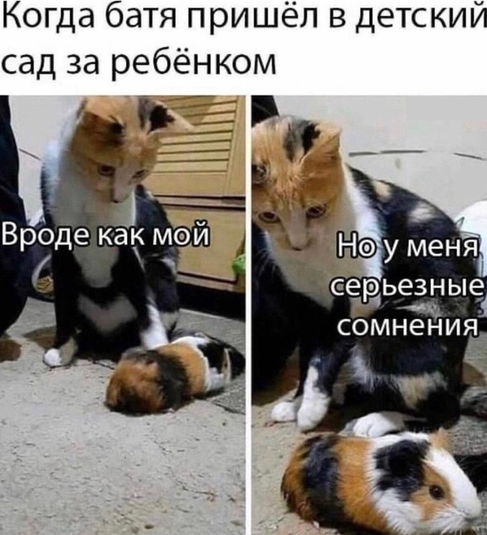 Немного картинок для настроения 30.10.20