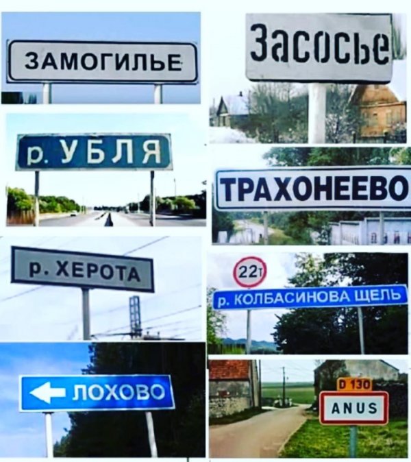 Прикольные и просто красивые картинки 12.11.2020