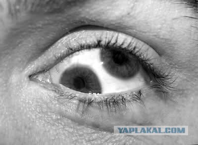 Бесконечный поезд