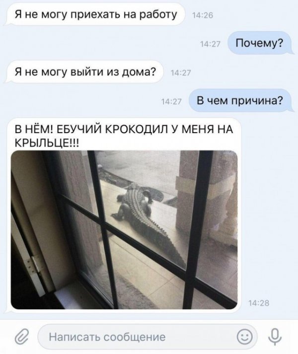 Картинки и мемы для настроения