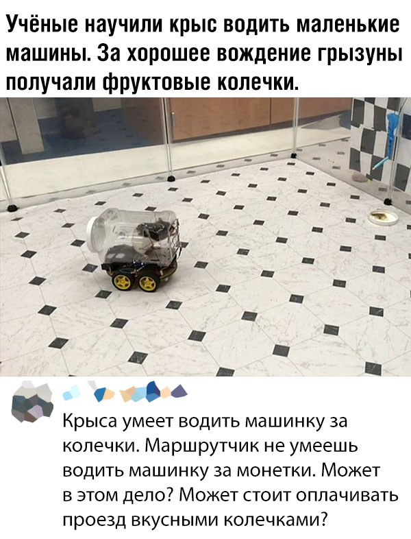 Всякая всячина