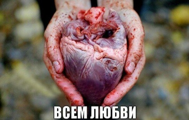 1033. Помним, скорбим
