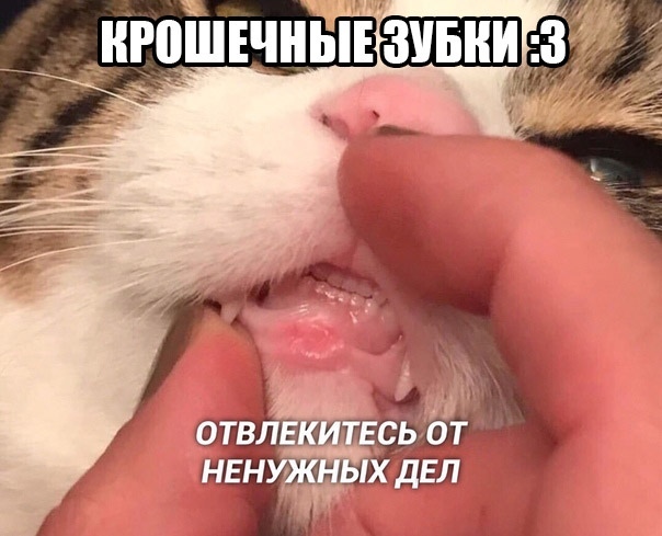 Так себе картинки 09.05.22