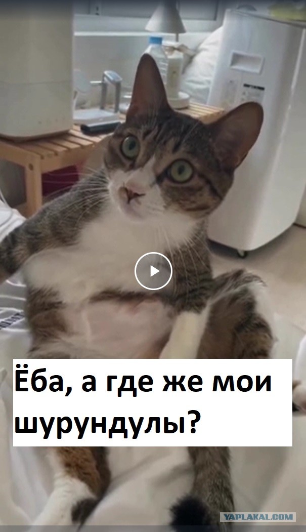 Кажется, чего-то не хватает...