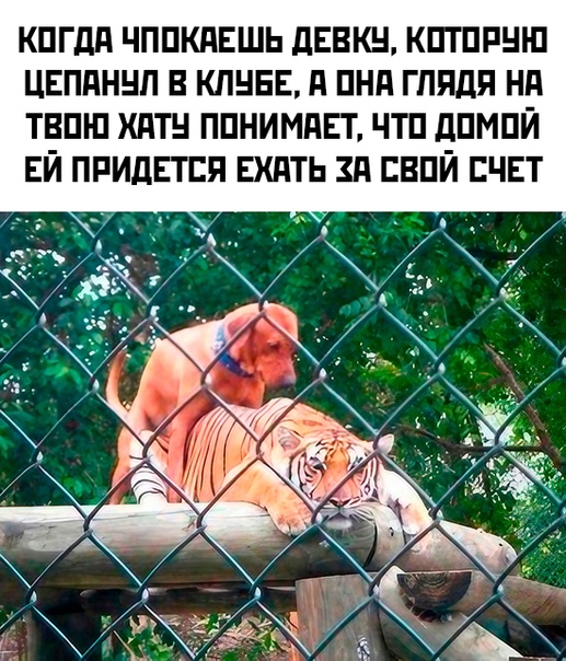 Весёлый полтишок 21.03.23
