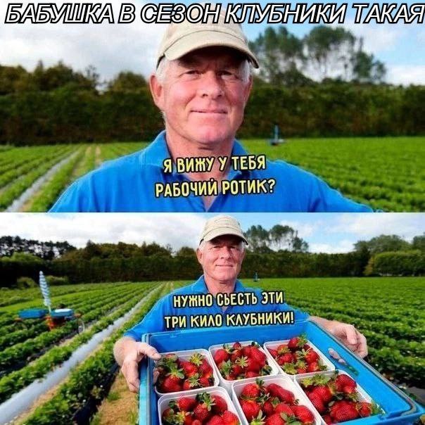 Сборник бабаянов или неожиданная помойка от Неждалигады