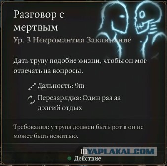 Убитый солдат ВСУ оставил русским послание на магазине автомата