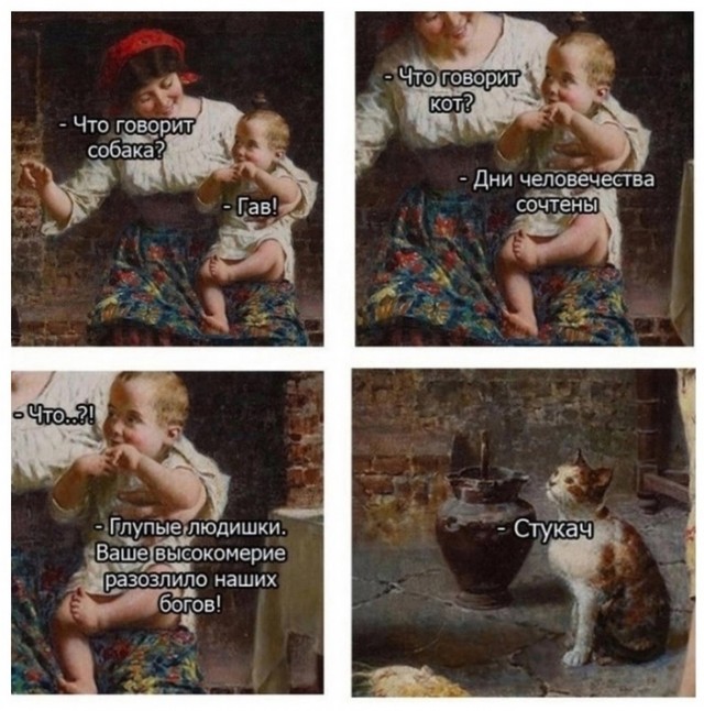 К котовторнику: подборка картинок-баянов с котиками и про котиков. Выпуск 5