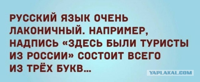 Веселое настроение в картинках 16.08.25