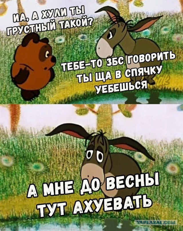 Картинки для деградации 93 (разной степени свежести)