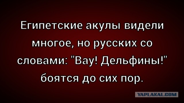Так себе картинки 05.12.25