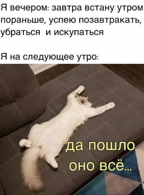 Картиночки, баянчики 12 марта