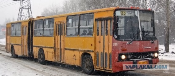 Стало известно, куда исчезли автобусы, купленные к чемпионату мира по футболу