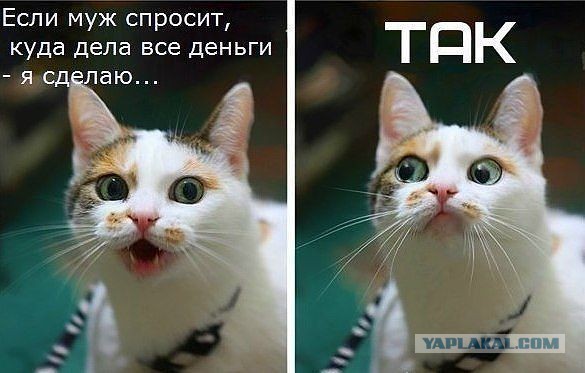 Картиночки, баянчики 26 марта
