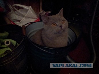 Самое уютное место