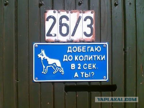 Шлёп