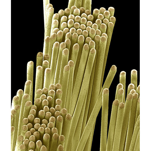 Бытовые предметы очень крупным планом