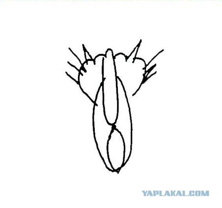 Кто обворовал США 45 лет назад?