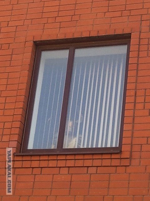 За окном